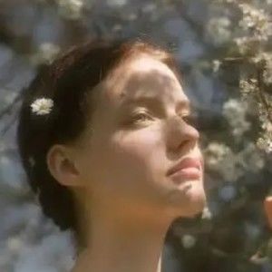 Meet your Posher, Piccirilli